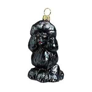 Blown Glass Black Poodle Christmas Ornament:  Home 
