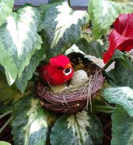   Spring Red Floral Luxe Door Wreaths Coleus Cardinal Birds Nest  