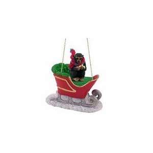  Chimpanzee Sleigh Ride Christmas Ornament: Home & Kitchen