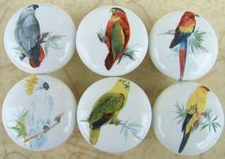 Cabinet Knobs W/ Parrot Macaw Cockatoo Exotic Birds #2  
