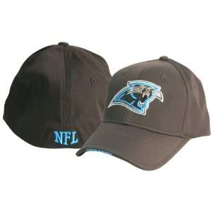   : Carolina Panthers Flex Fit Baseball Hat   Black: Sports & Outdoors