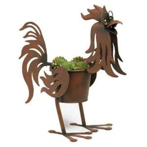  Mini Doc the Rooster Metal Planter: Patio, Lawn & Garden