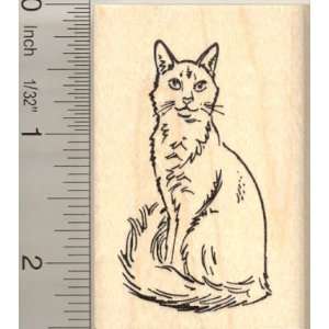 Fluffy Somali Cat Sitting Rubber Stamp Arts, Crafts 