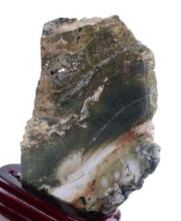 Natural Ocean Jasper Rough Mineral Specimen #2F14  