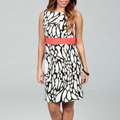 Sandra Darren Womens Black/ Ivory Coral Dress Was: $56 