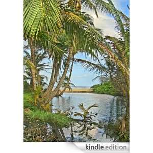 Hawaii Vacation Blog [Kindle Edition]