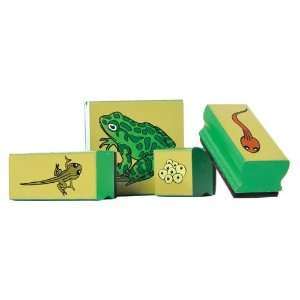  Frog Life Cycle Ink Stamps Toys & Games