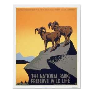  Preserve Wild Life 1939 WPA Posters
