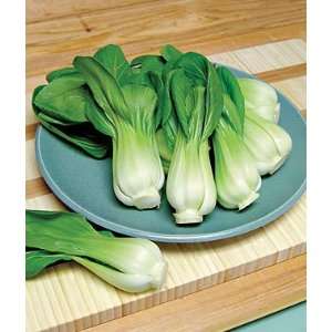  Chinese Cabbage, Pak Choi, Toy Choi Hybrid 1 Pkt. (200 