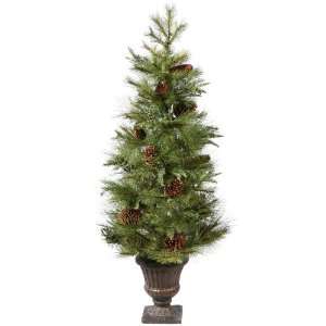  36 Zuni Mix Pine Potted Christmas Tree: Home & Kitchen