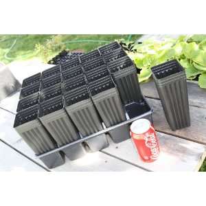  Twenty 8 Mini Tree Pots with tray: Patio, Lawn & Garden