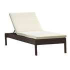 Outdoor Resin Chaise Lounge  