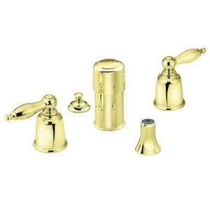  Moen Double Handle Bidet Faucet   Polished Brass: Kitchen 