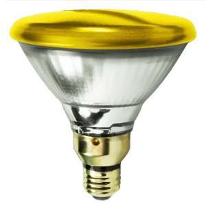     100 Watt Light Bulb   PAR38   Yellow   2000 Life Hours   120 Volt