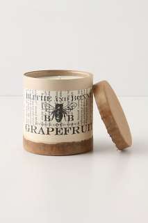 Blithe And Bonny Candle   Anthropologie