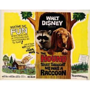   Hound That Thought He Was a Racoon Poster Half Sheet 22x28 Rex Allen
