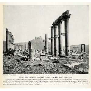 Good Grand Colonnade Tadmorene Palmyra Moslem Castle Fortress Ancient 