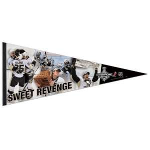  Pittsburgh Penguins 2009 Stanley Cup Champions 17x40 