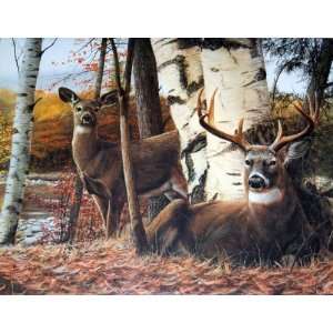 Autumns Majesty    shrink wrapped, shipped flat poster 16 x 20 inches 