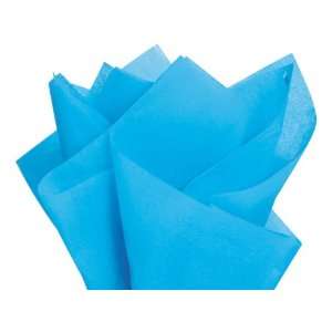  Turquoise Wrap Tissue Paper 20 X 26   48 Sheets: Health 
