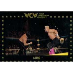   : 1991 WCW Collectible Wrestling Card #55 : Sting: Sports & Outdoors