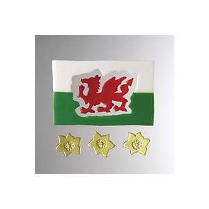 Welsh Flag GelGems Small Bag
