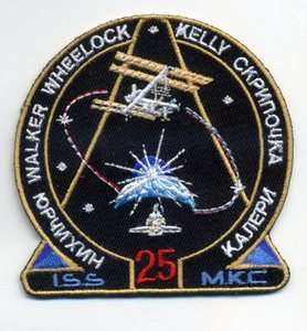 NASA International Space Station Expedition 25 Patch  
