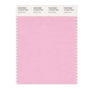  PANTONE SMART 13 2010X Color Swatch Card, Orchid Pink 