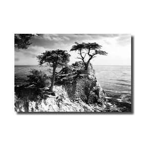 Ocean Cliff I Giclee Print:  Home & Kitchen
