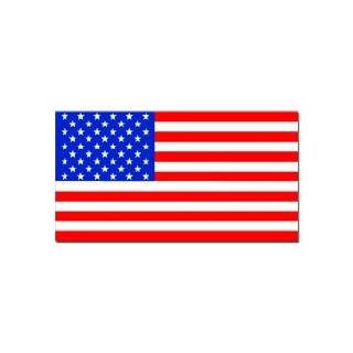  United States of America Waving Flag on Clear Background 