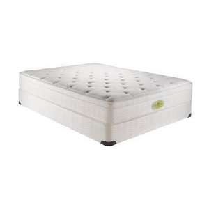  Simmons Natural Care Betterley Forest Euro Top Mattress 