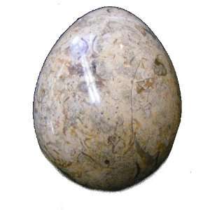 Fossil Egg 01 Brown Oyster Shell Matrix Crystal Energy Grounding Stone 