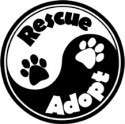 Car Magnet Cat Dog RESCUE ADOPT 5 For Charity Rescue  