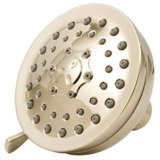   Function Showerhead in Polished Brass 8463000H 