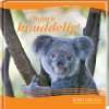 Koalas. Die Teddybären aus dem Eukalyptuswald  Ann Sharp 