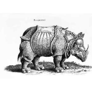 Kunstreproduktion nach Albrecht Dürer Rhinoceros, no.76 from 