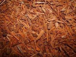 Catuaba root bark(aphrodesiac, libido, memory) herb 50g  