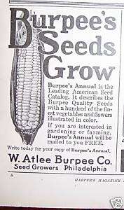 1920 Antique Burpees Seed Ear Corn Art Ad  