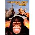 Die lustige Welt der Tiere DVD ~ Jamie Uys