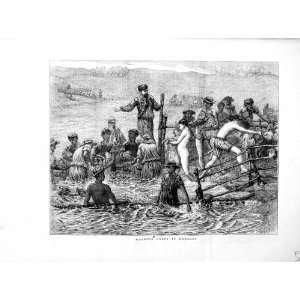 Szenen Waschende Schafe 1872 Ungarn, das Mann Tiere Bewirtschaftet 