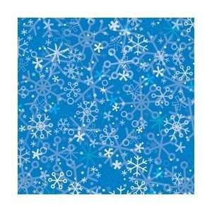  Doodlebug 12X12 Papers Blizzard PAPERS25 1770; 25 Items 