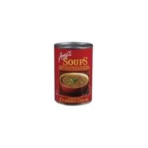  Amys Curried Lentil Soup    14.5 oz: Health & Personal 
