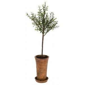  Potted Artificial Thyme Topiary Tree Herb Pot: Home 