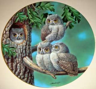 Joe Thornbrugh Baby Owls Of N. America PEEK A WHOO SCREECH OWLS Plate 