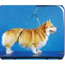 No Sit Haunch Holder Dog Grooming Restraint Large Dogs  
