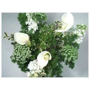    Morning Calla Lily Delight Fresh Flowers Bouquet
