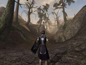new the Elder Scrolls III 3 THREE Morrowind XBOX/360 RPG GAME epic 