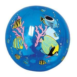    16 Tropical Fish Beach Ball Case Pack 36