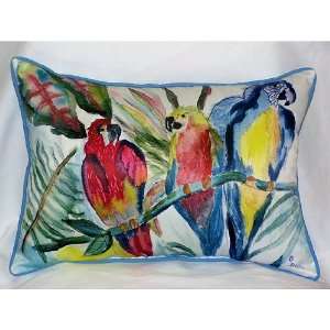  Betsy Drake HJ217 Parrot Family Art Only Pillow 15x22 