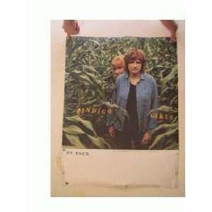  The Indigo Girls Poster 2 Sided Great Shot o the Ladies 